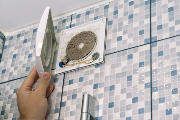 Best Duct Cleaning Specialists  in Wolfe City, TX