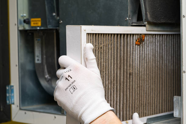 Best HVAC System Cleaning  in Wolfe City, TX