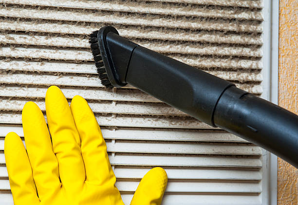 Best Air Vent Cleaning Services  in Wolfe City, TX
